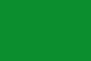 Farbe grün (Weihnachten & Winter)