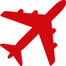 Icon Flug